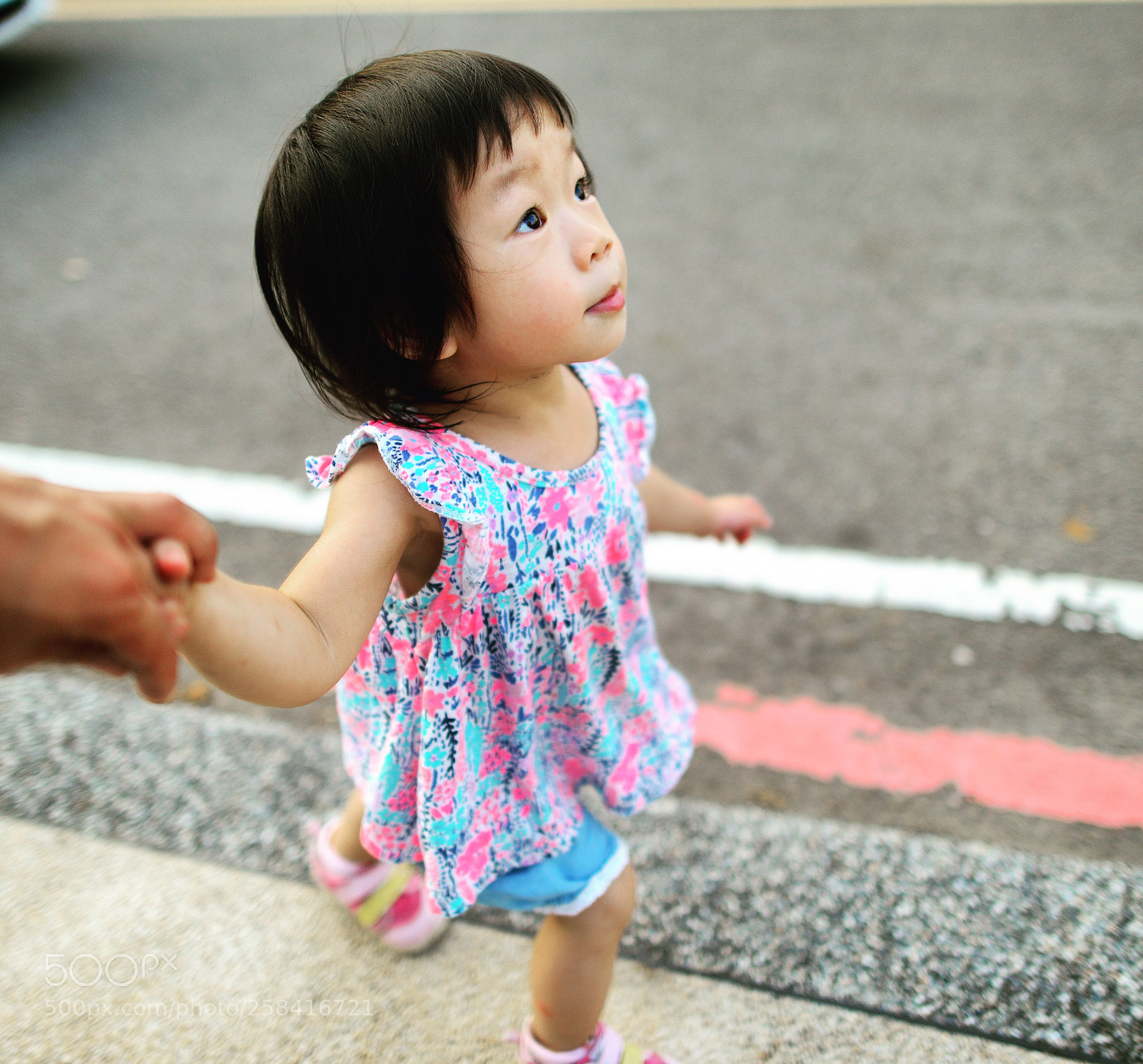 Nikon D800 sample photo. Untitled photography