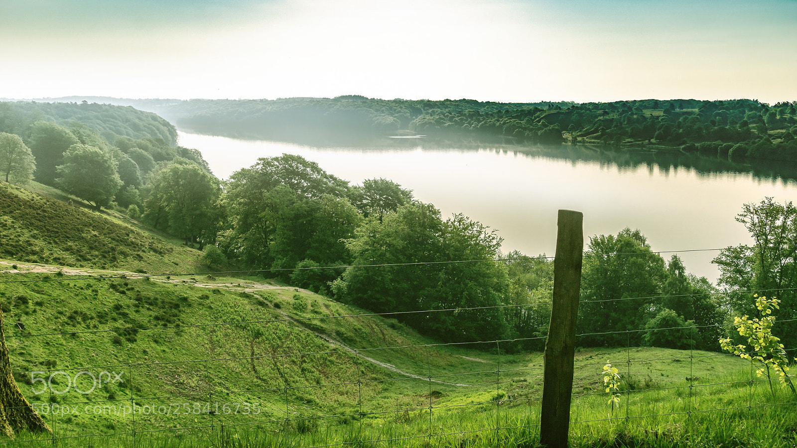 Sony ILCA-77M2 sample photo. Morning mist photography
