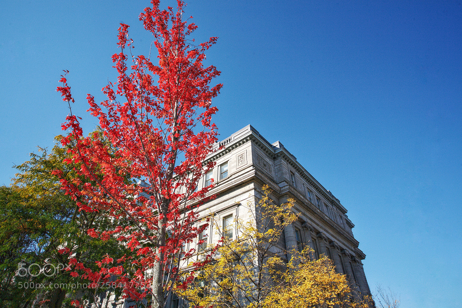 Canon EOS 5D sample photo. Old montreal autumn 2017 photography