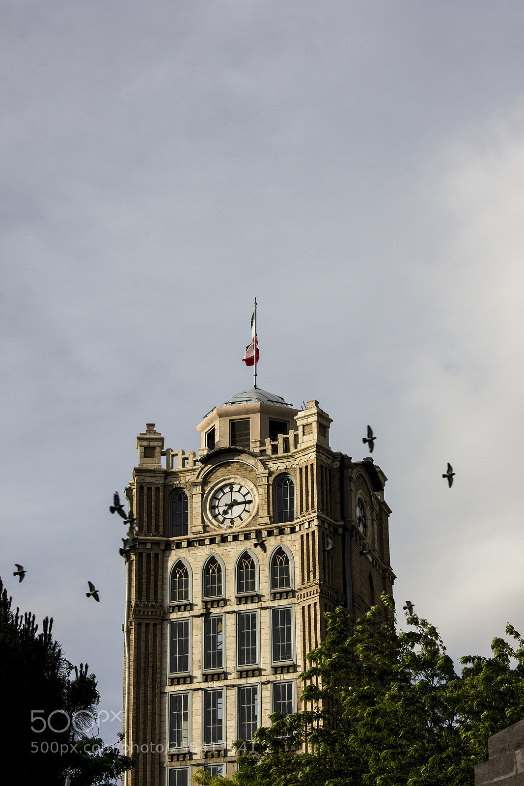 Canon EOS 550D (EOS Rebel T2i / EOS Kiss X4) sample photo. Birds tower photography