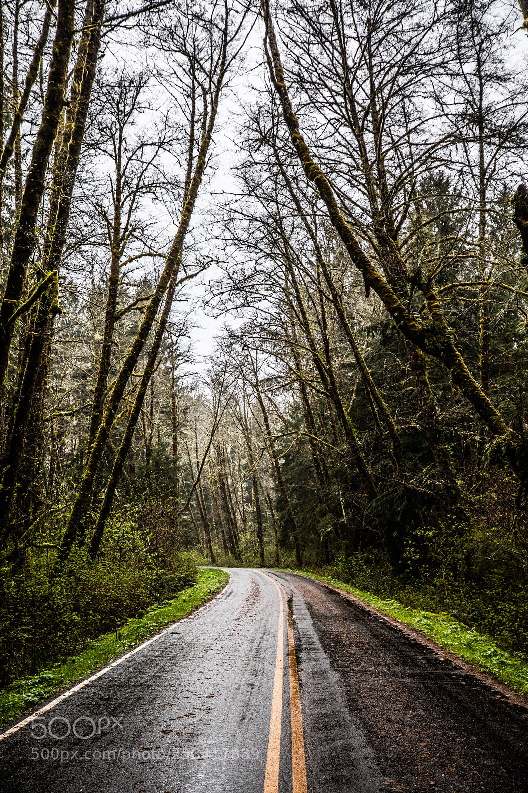 Canon EOS 5D Mark IV sample photo. La push & rialto photography