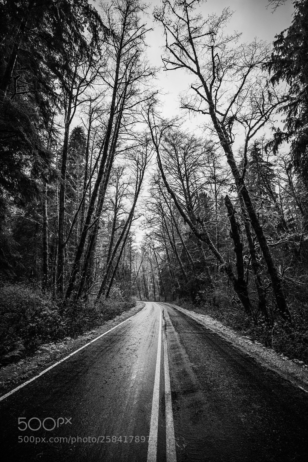Canon EOS 5D Mark IV sample photo. La push & rialto photography