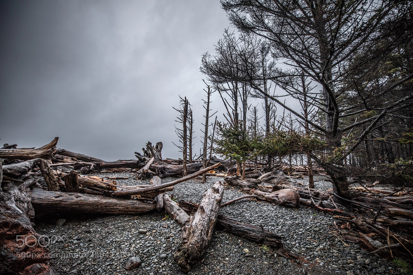 Canon EOS 5D Mark IV sample photo. La push & rialto photography