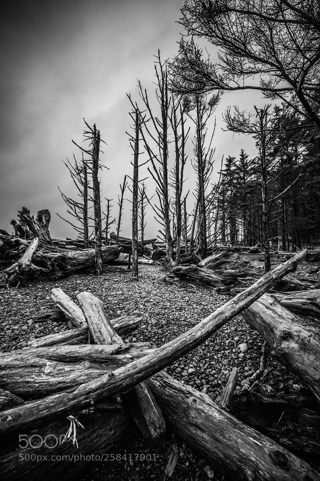 Canon EOS 5D Mark IV sample photo. La push & rialto photography