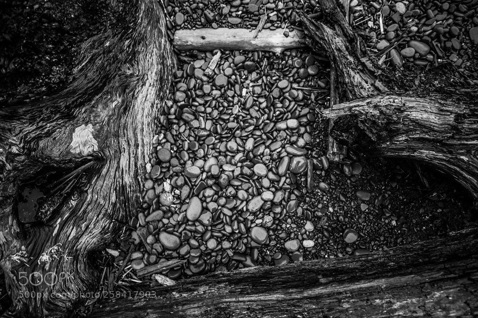 Canon EOS 5D Mark IV sample photo. La push & rialto photography