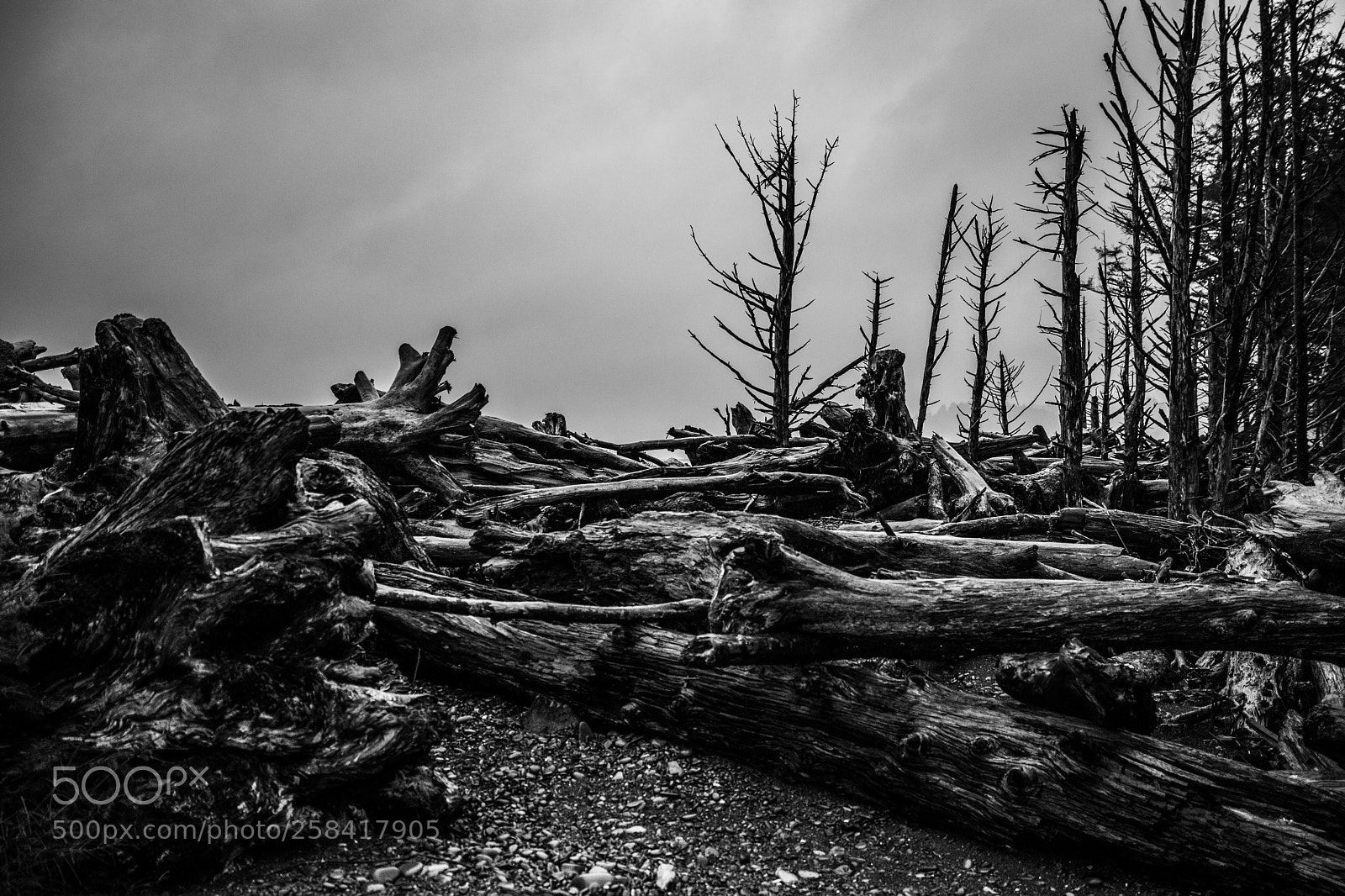 Canon EOS 5D Mark IV sample photo. La push & rialto photography