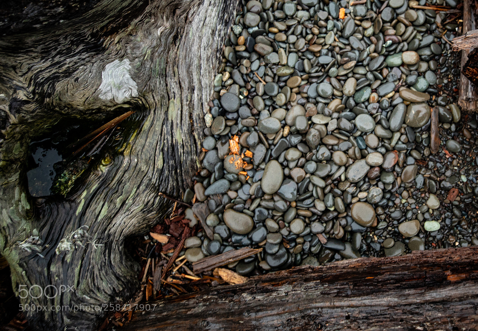 Canon EOS 5D Mark IV sample photo. La push & rialto photography