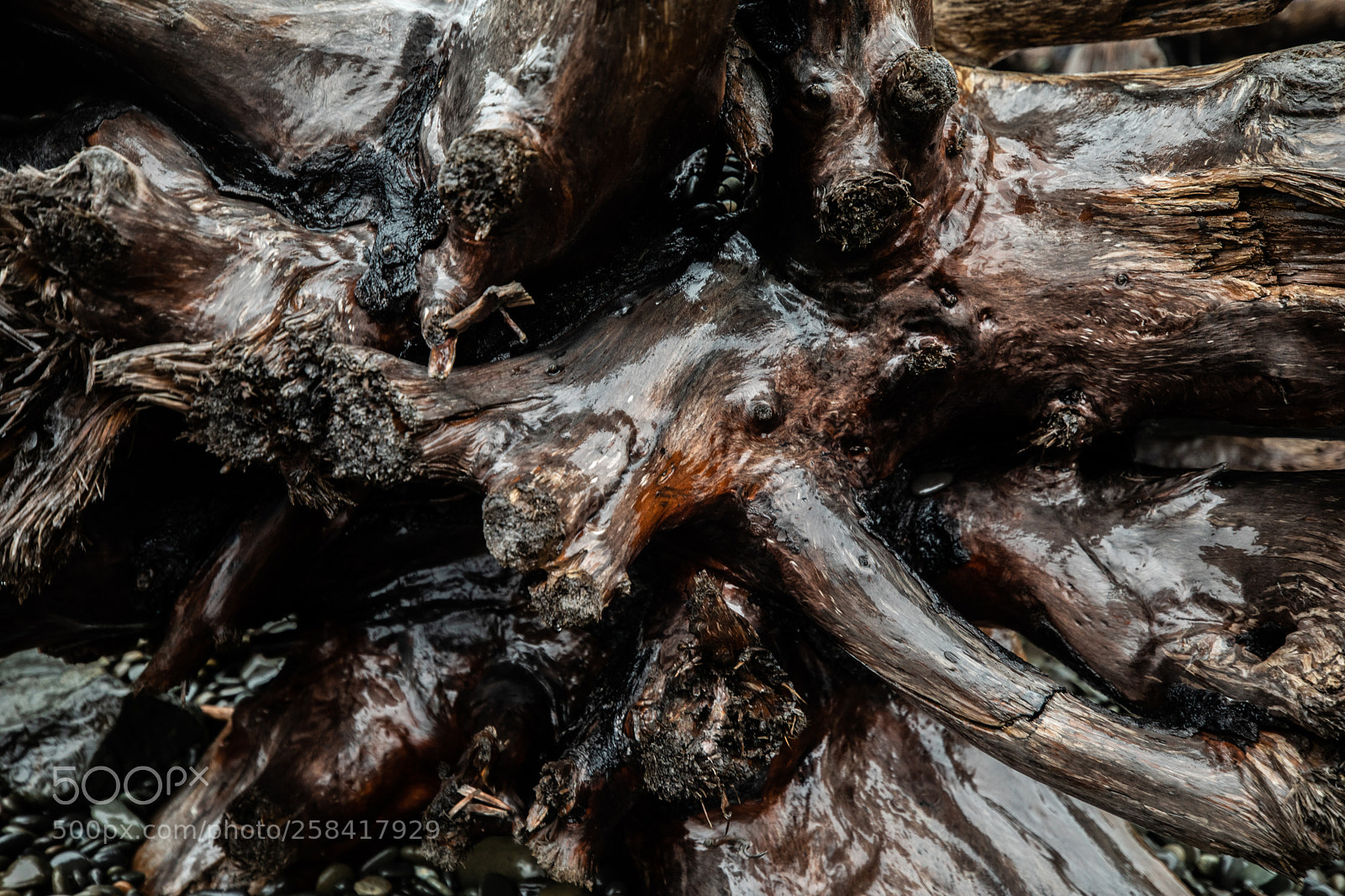 Canon EOS 5D Mark IV sample photo. La push & rialto photography