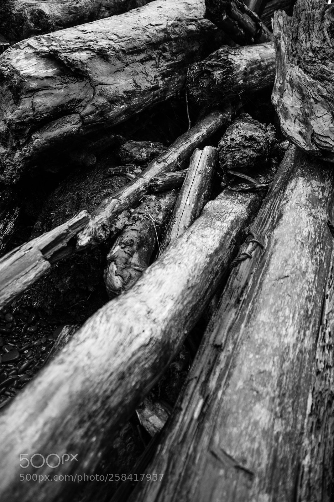 Canon EOS 5D Mark IV sample photo. La push & rialto photography