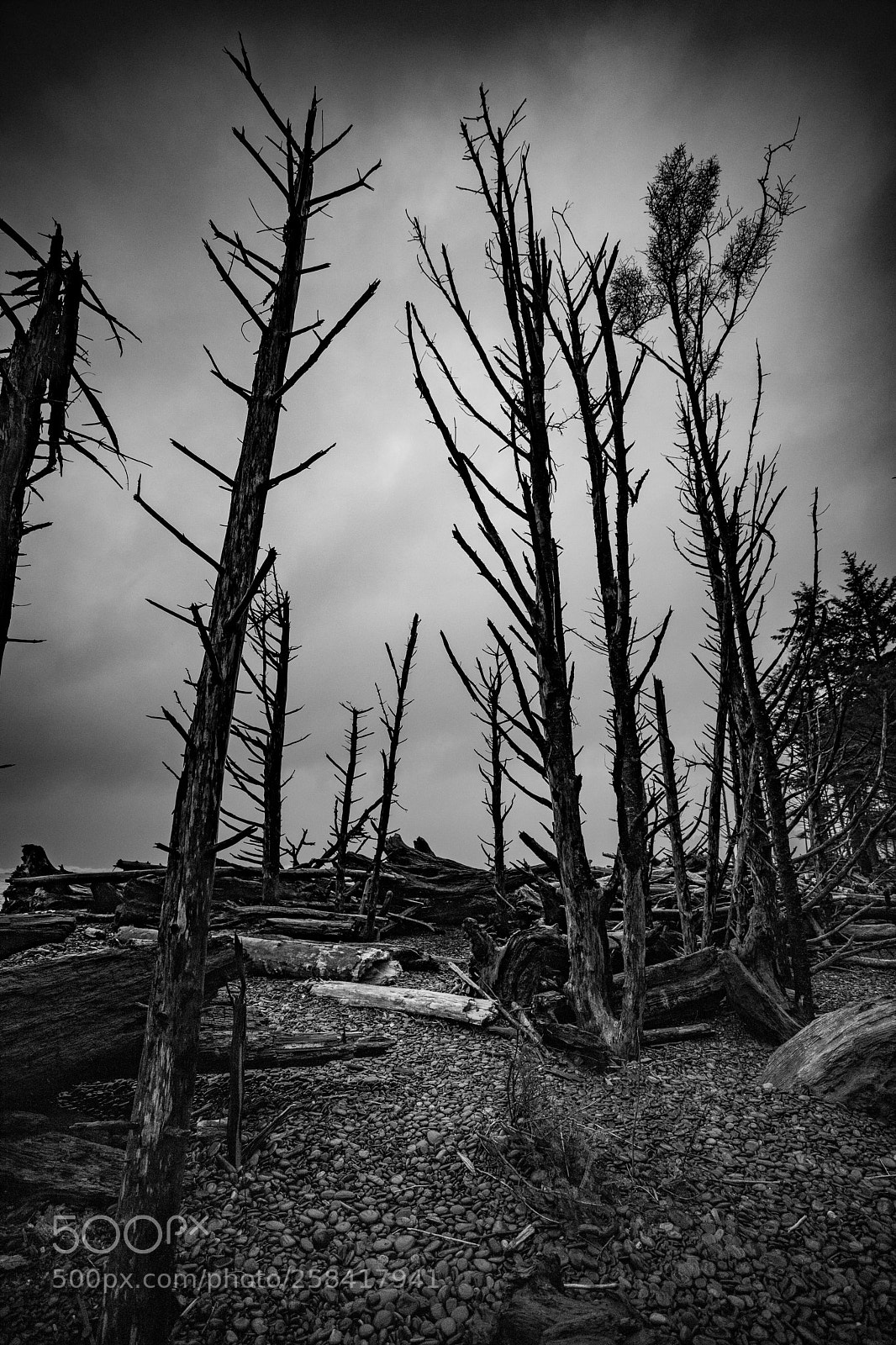 Canon EOS 5D Mark IV sample photo. La push & rialto photography