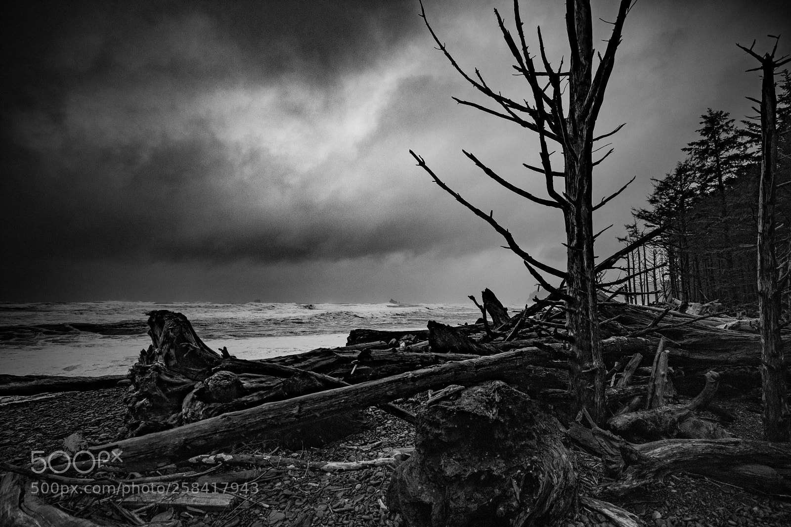 Canon EOS 5D Mark IV sample photo. La push & rialto photography