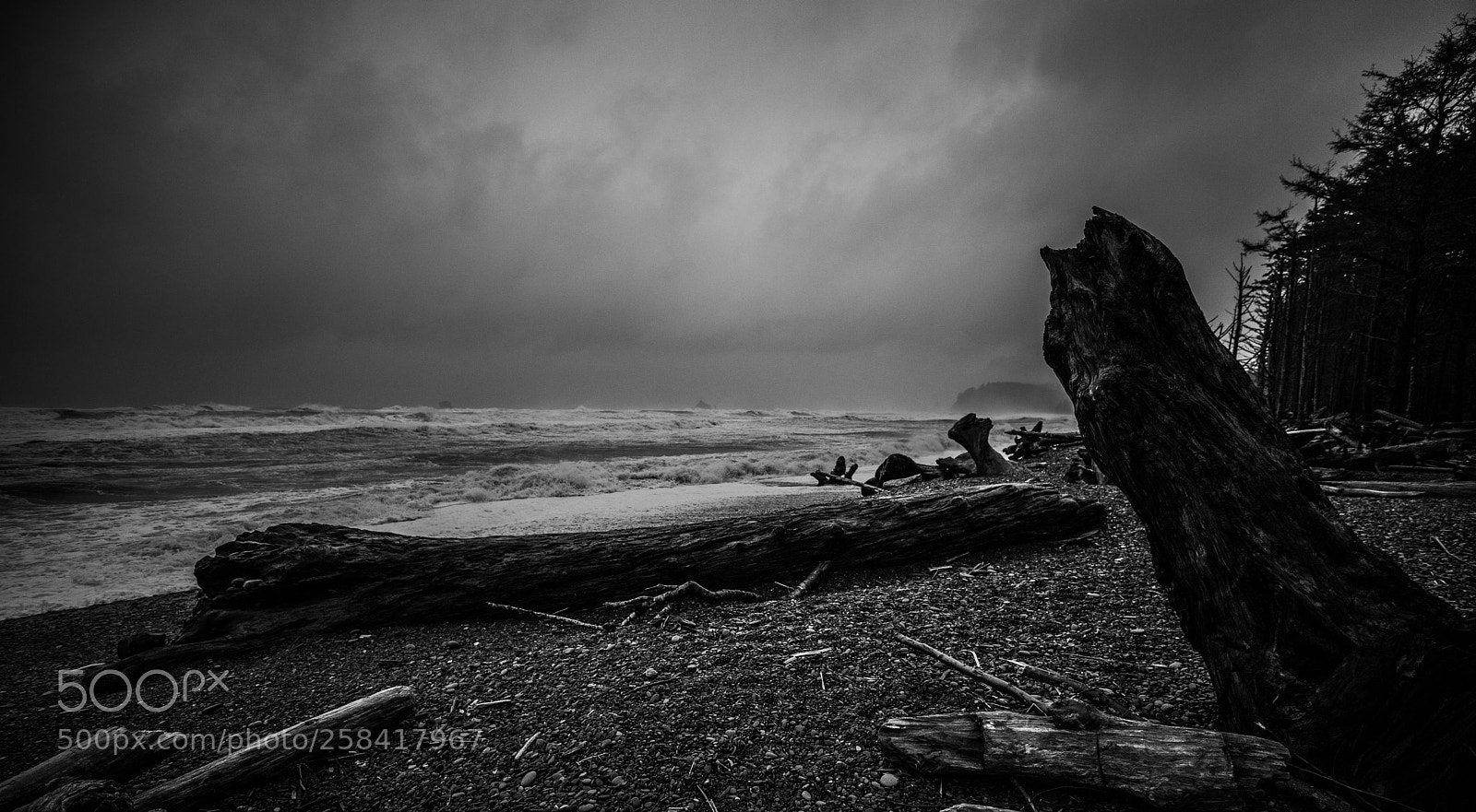 Canon EOS 5D Mark IV sample photo. La push & rialto photography
