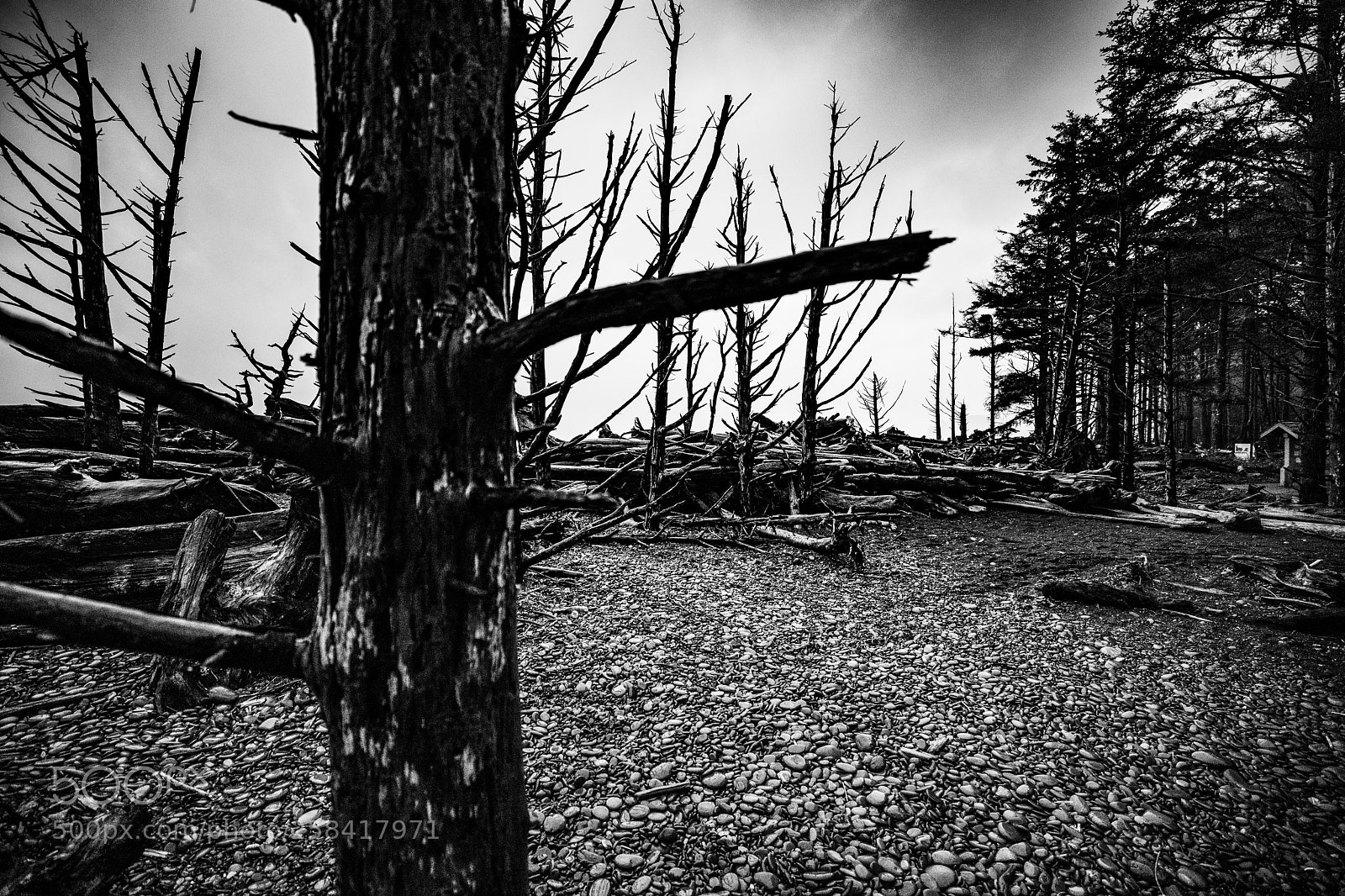 Canon EOS 5D Mark IV sample photo. La push & rialto photography