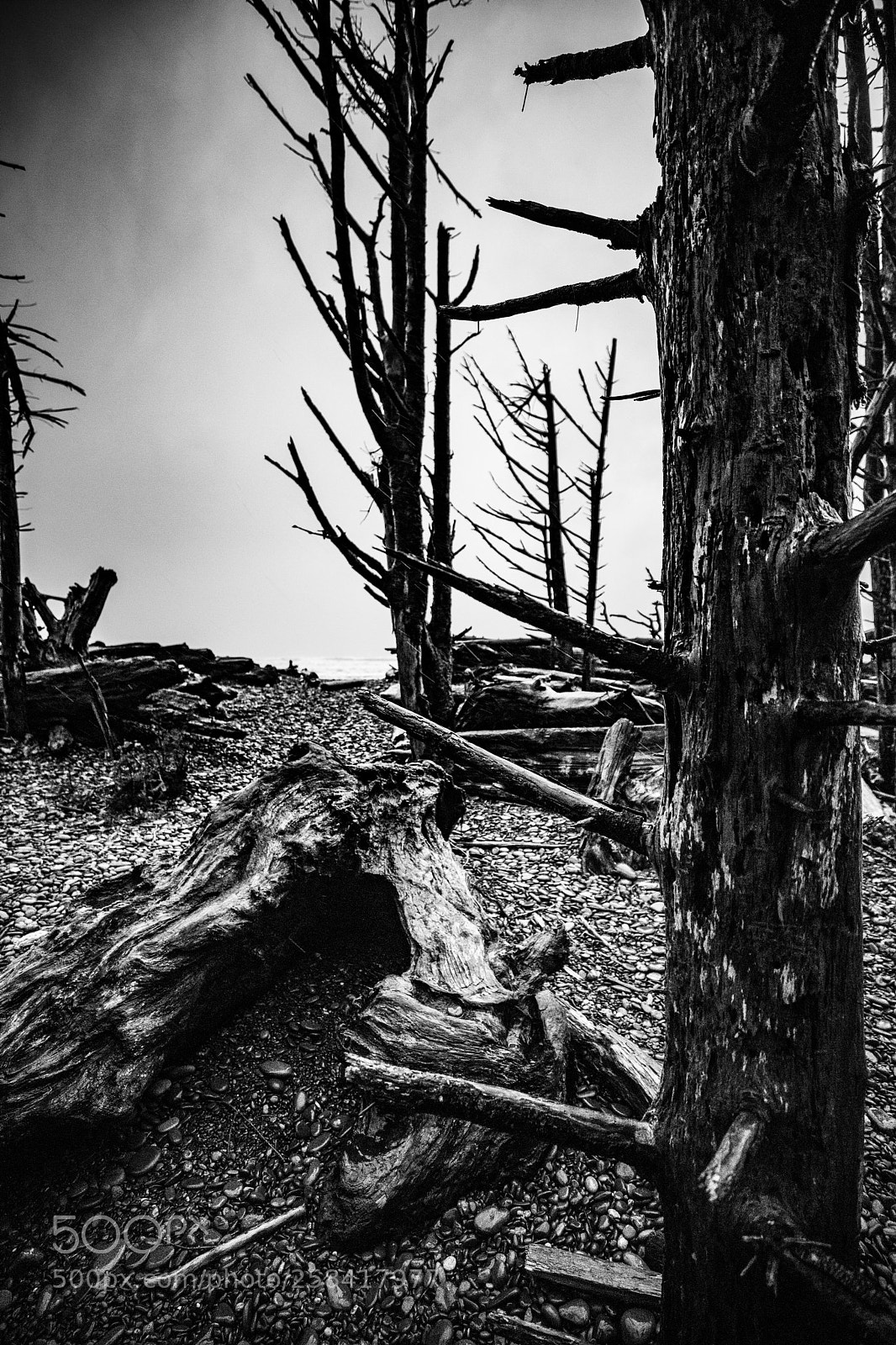 Canon EOS 5D Mark IV sample photo. La push & rialto photography