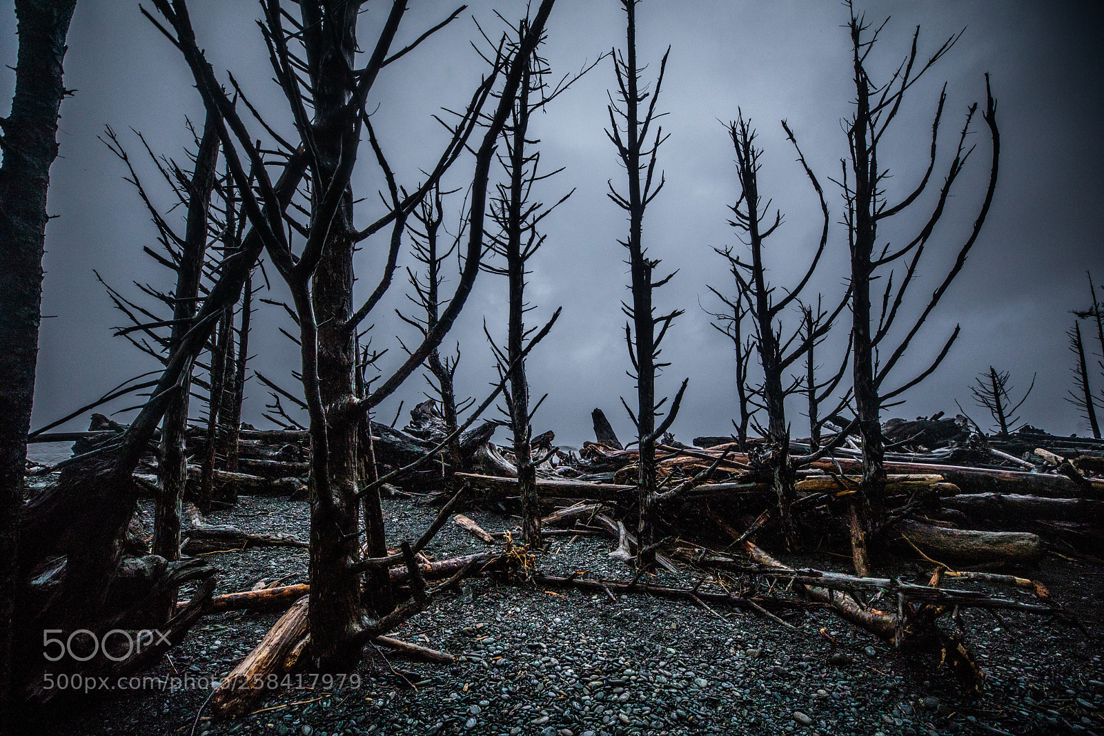 Canon EOS 5D Mark IV sample photo. La push & rialto photography
