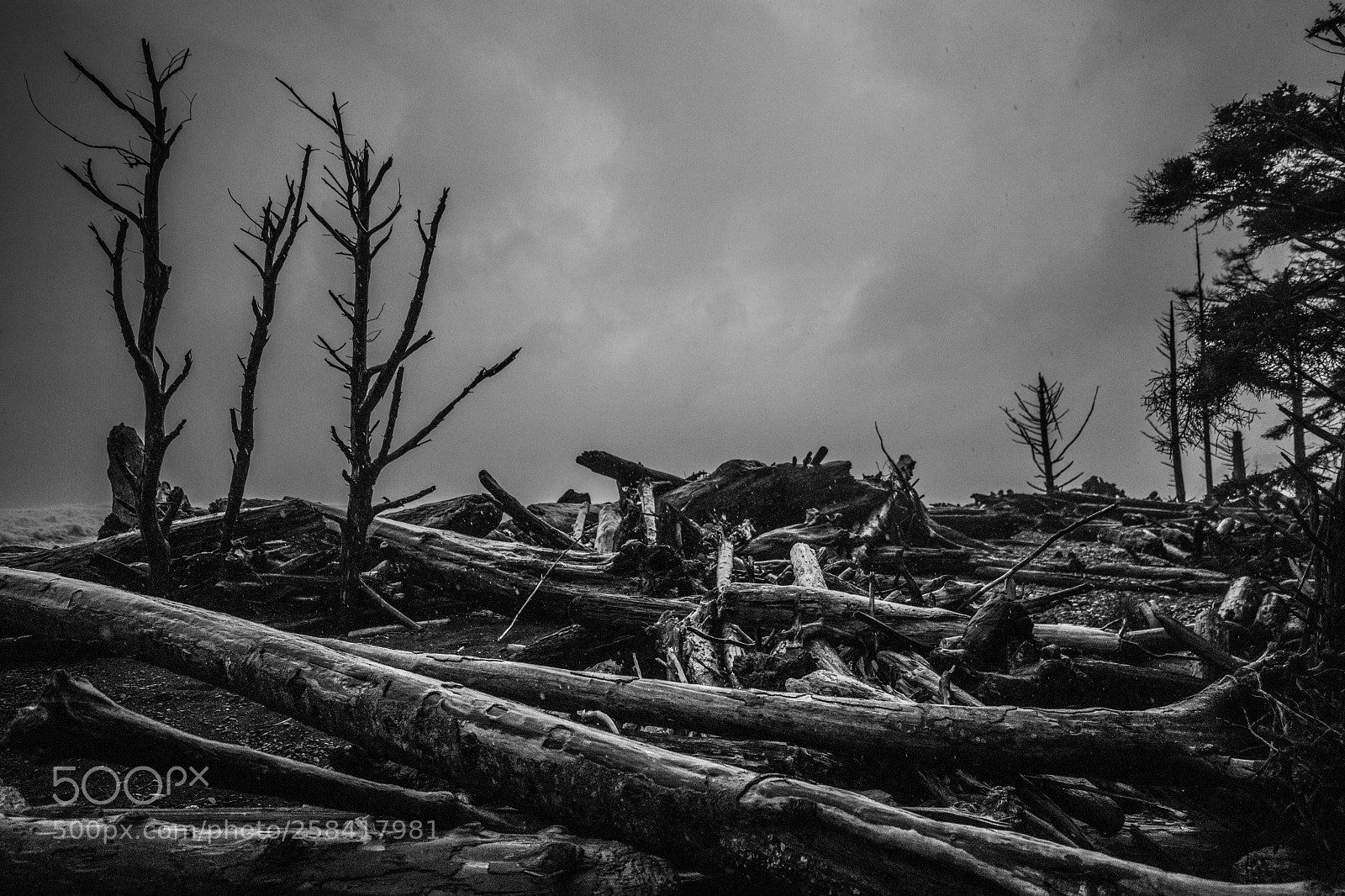 Canon EOS 5D Mark IV sample photo. La push & rialto photography