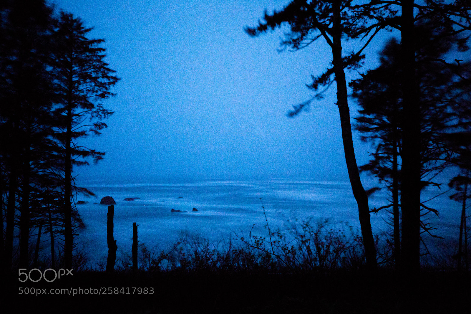 Canon EOS 5D Mark IV sample photo. La push & rialto photography