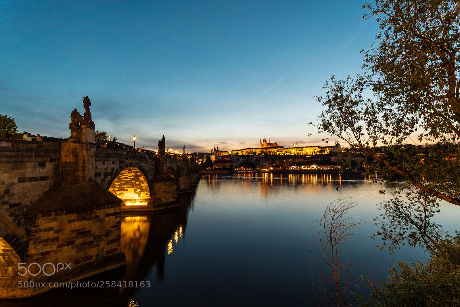 Nikon D5600 sample photo. Prague in blue photography