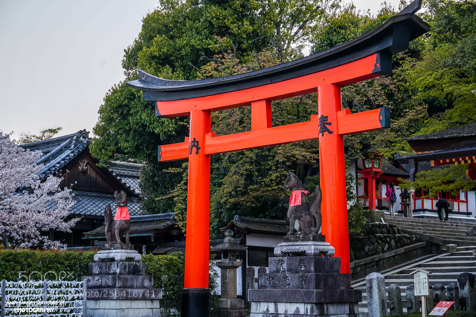 Sony a6500 sample photo. Torii photography