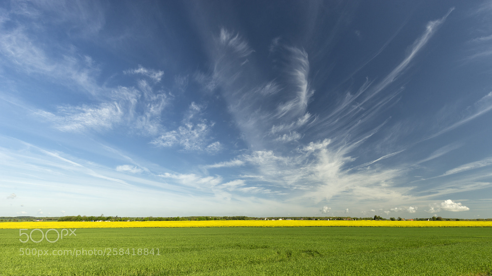 Sony a7 II sample photo. Blue, yellow & green photography