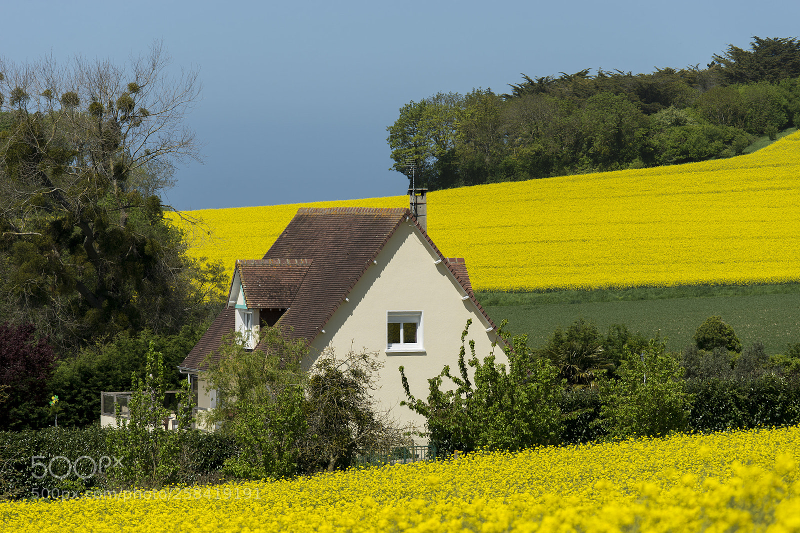 Sony a7 II sample photo. Maison de normandie photography