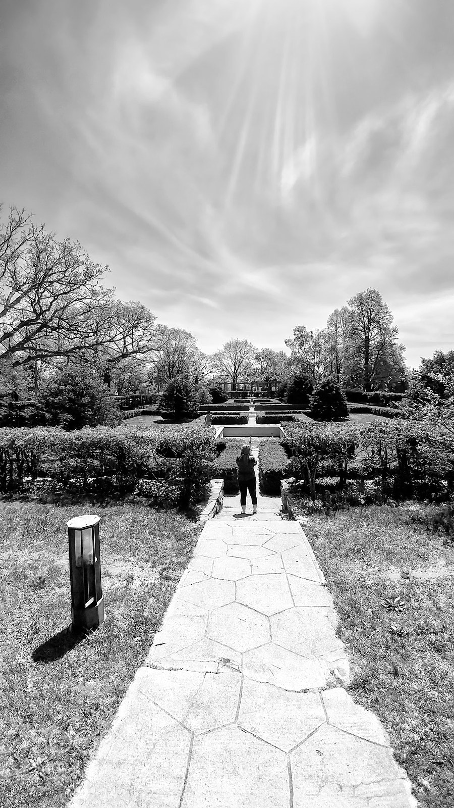 LG G5 sample photo. High park photography