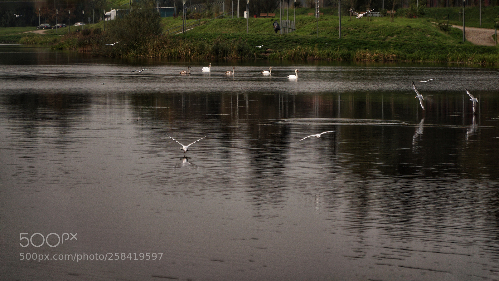 Sony a6000 sample photo. Flight level 0 photography