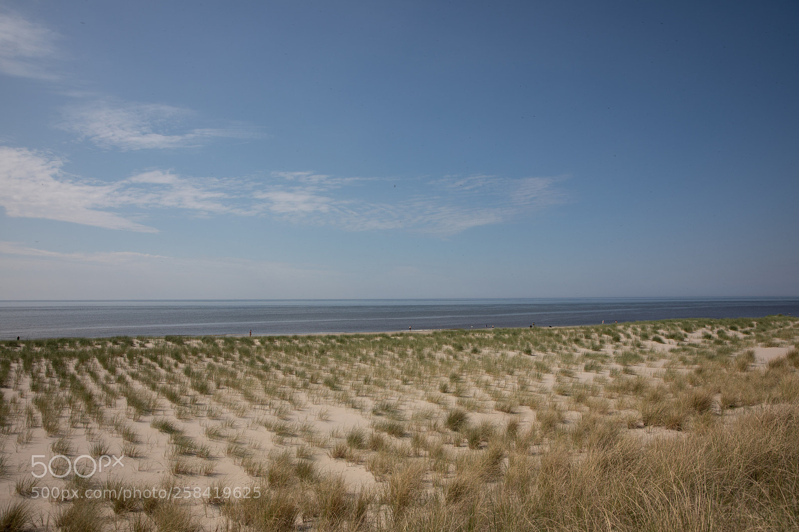 Canon EOS 5D Mark IV sample photo. Horizon photography