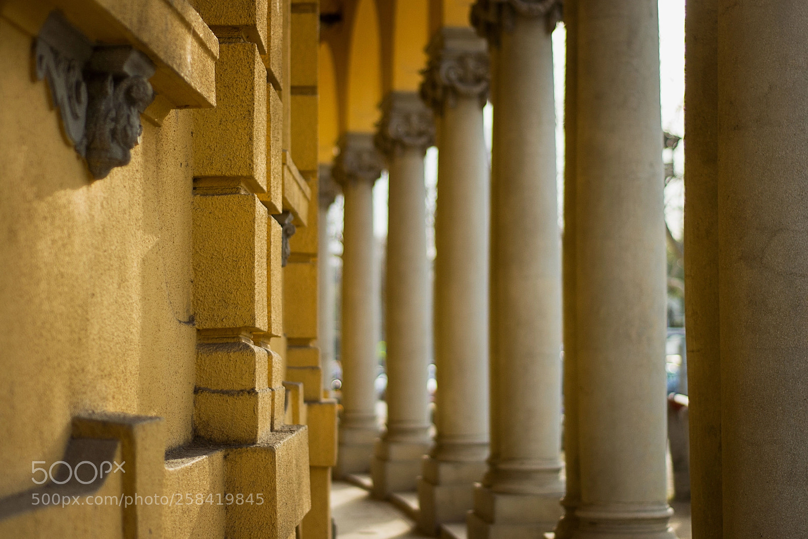 Nikon D3100 sample photo. Tandem photography