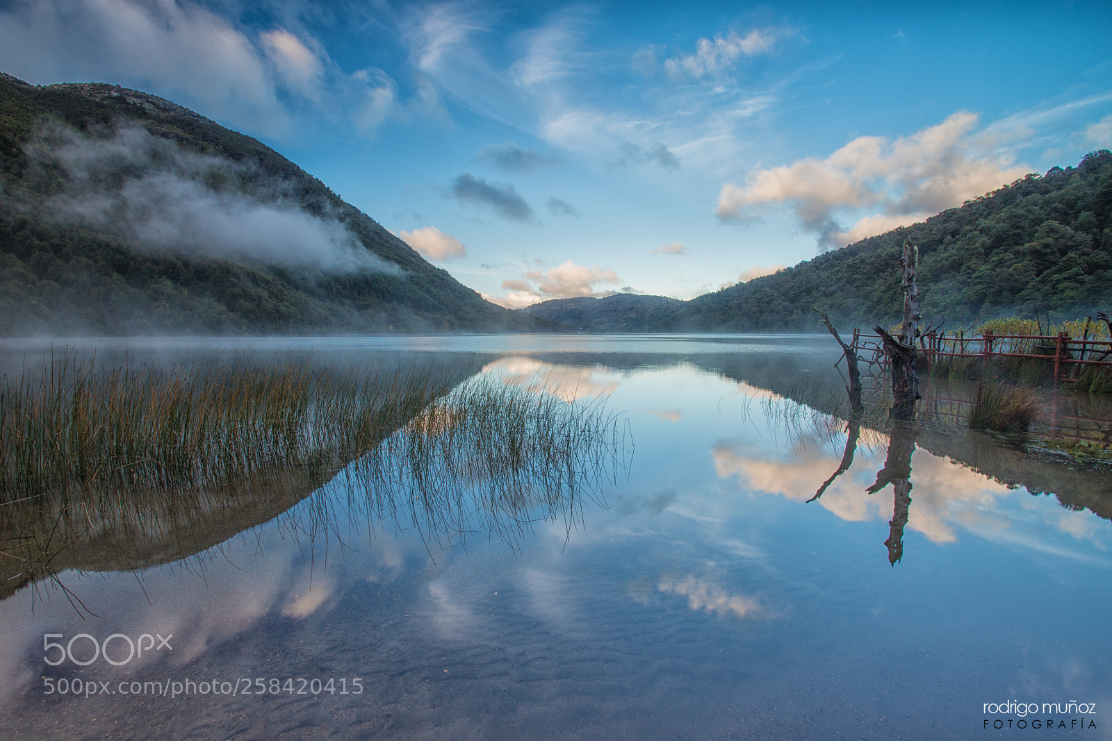 Canon EOS 6D Mark II sample photo. Reflejos al amanecer photography
