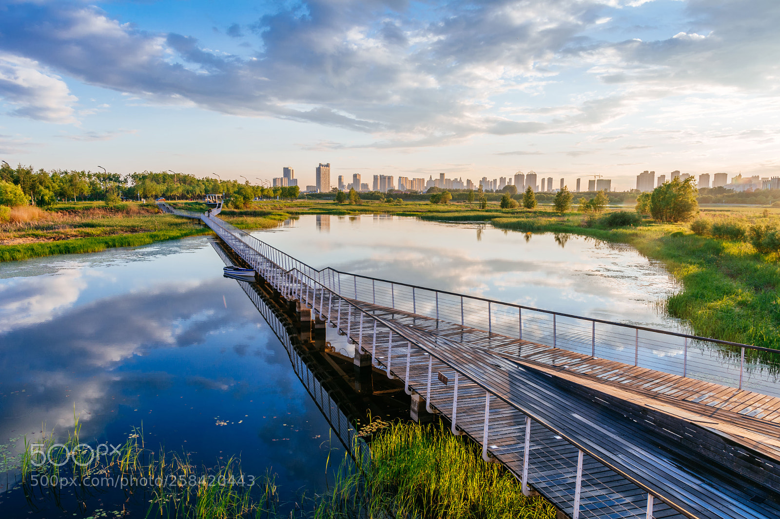 Nikon D5200 sample photo. Wetland photography