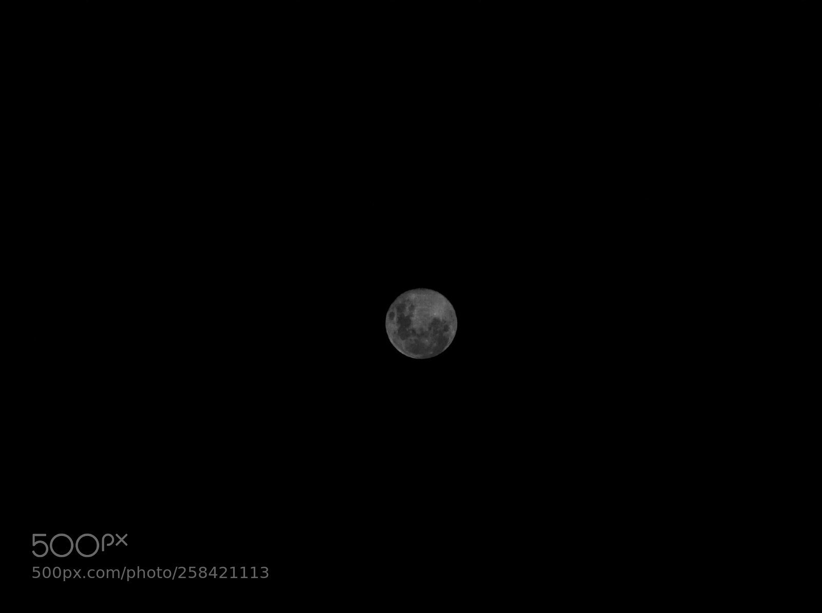Nikon D3100 sample photo. When the moon hits photography