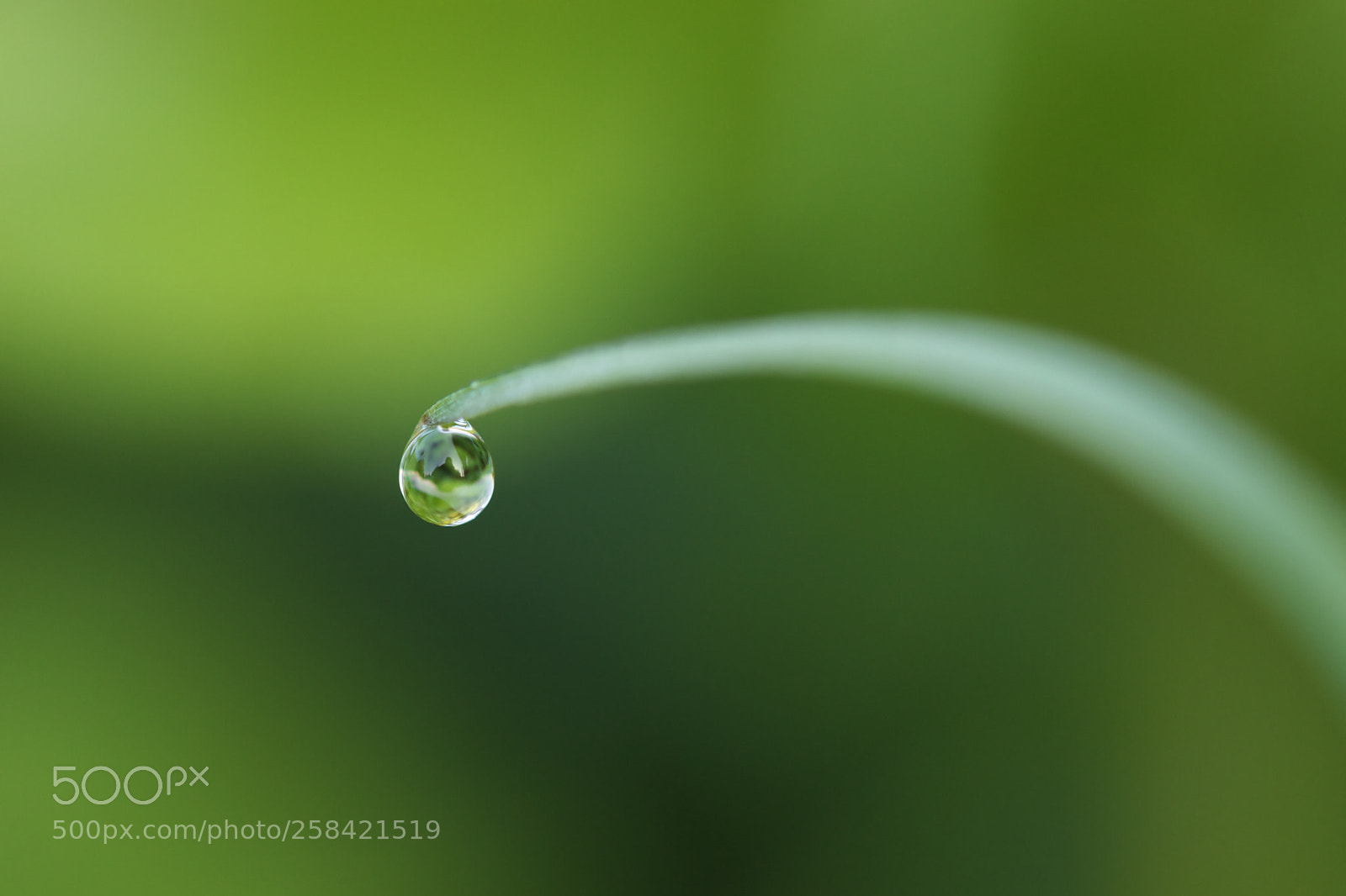 Canon EOS 77D (EOS 9000D / EOS 770D) sample photo. H2o... photography