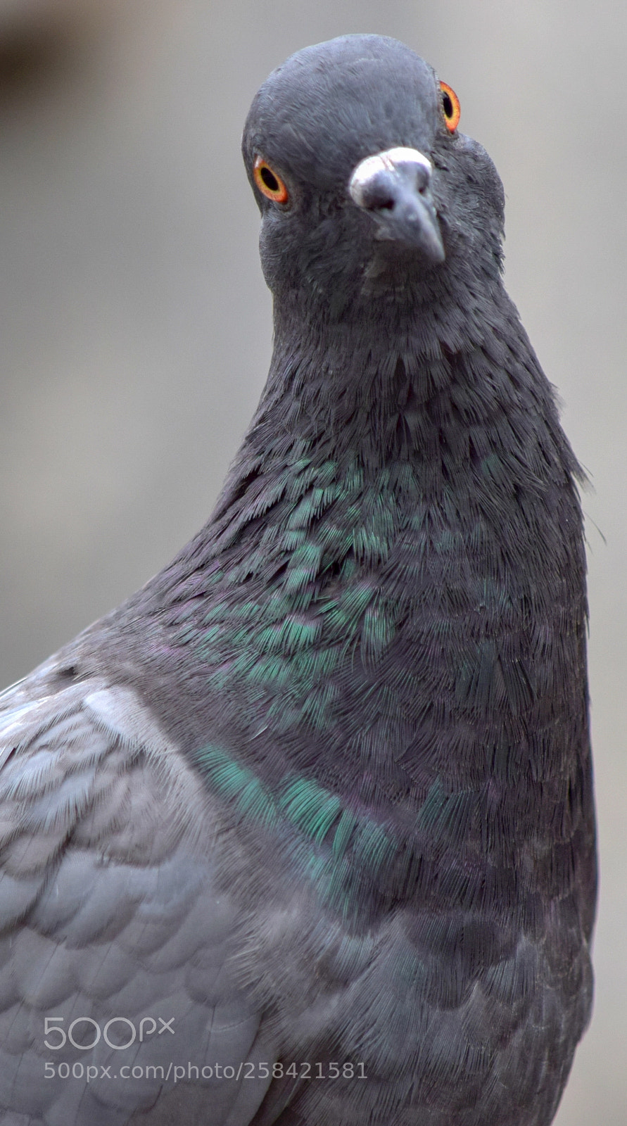 Nikon D3300 sample photo. Why are taking my photography