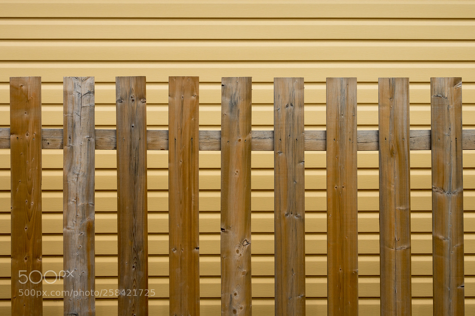 Sony Cyber-shot DSC-RX10 III sample photo. 'happy fence friday' photography