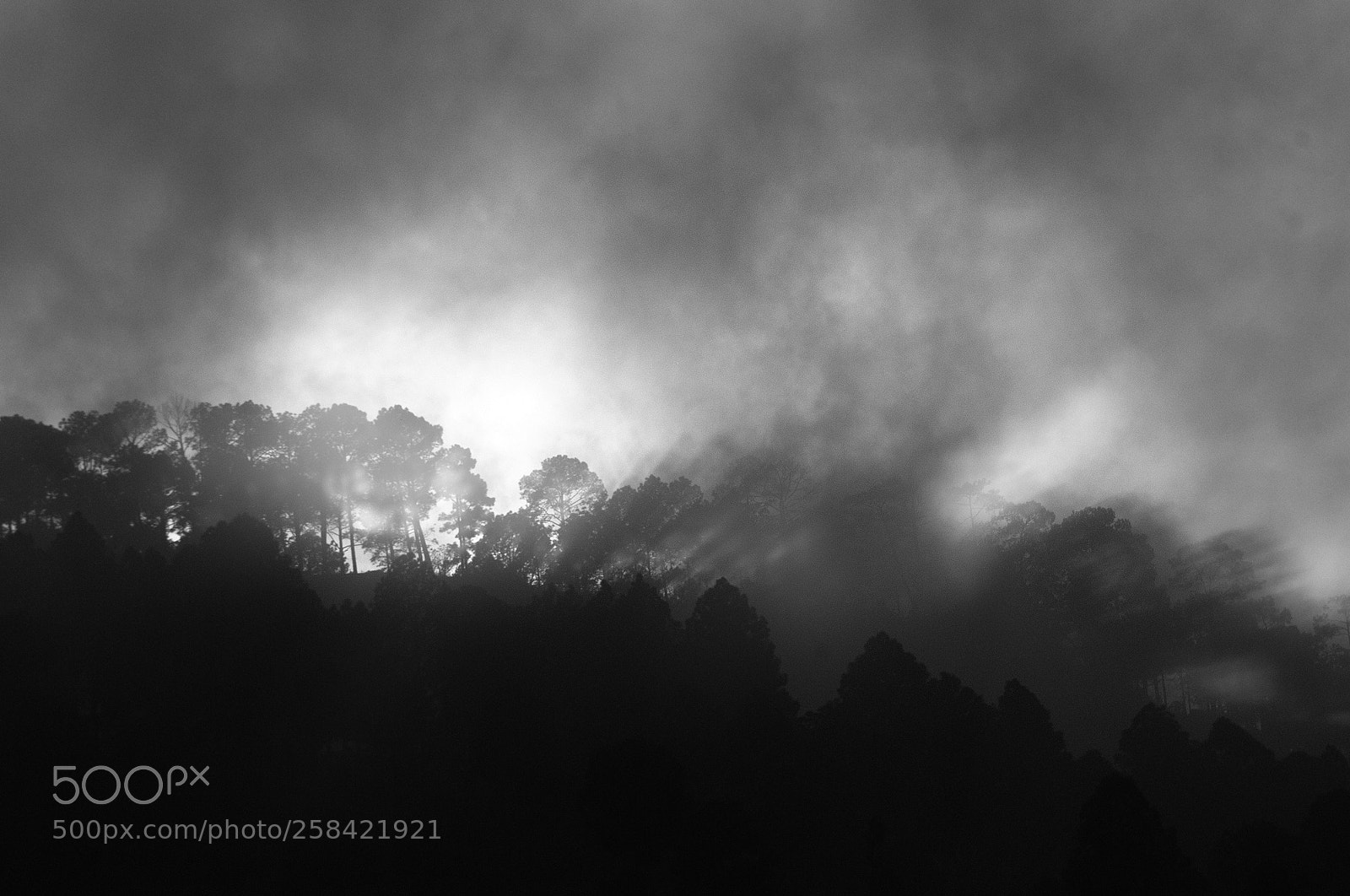 Nikon D300 sample photo. The last light photography