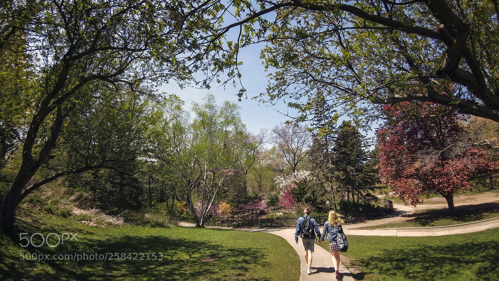 LG G5 sample photo. High park photography