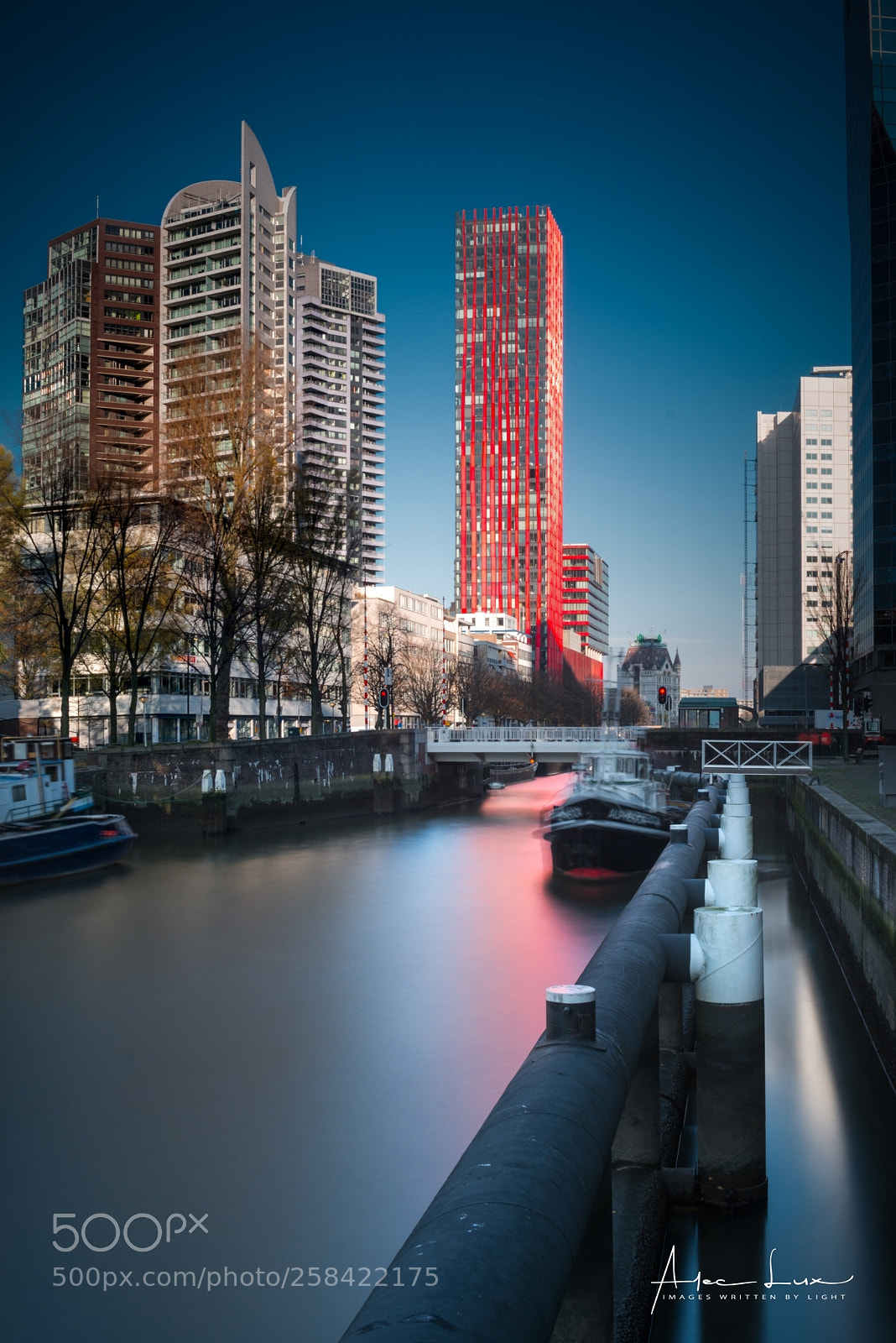 Nikon D800 sample photo. Nothing attracts attention like photography