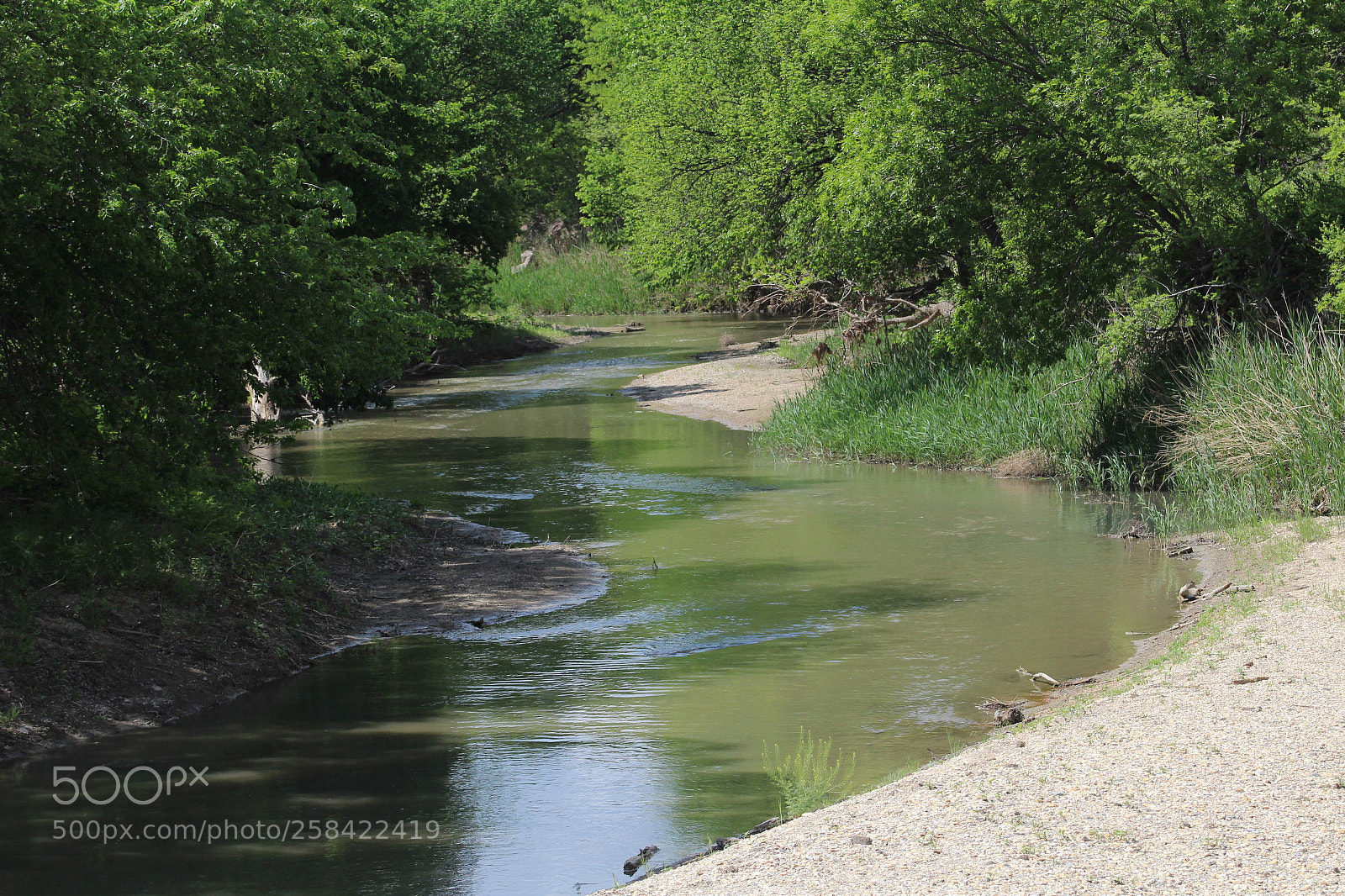 Canon EF 75-300mm f/4-5.6 sample photo. Serenity photography