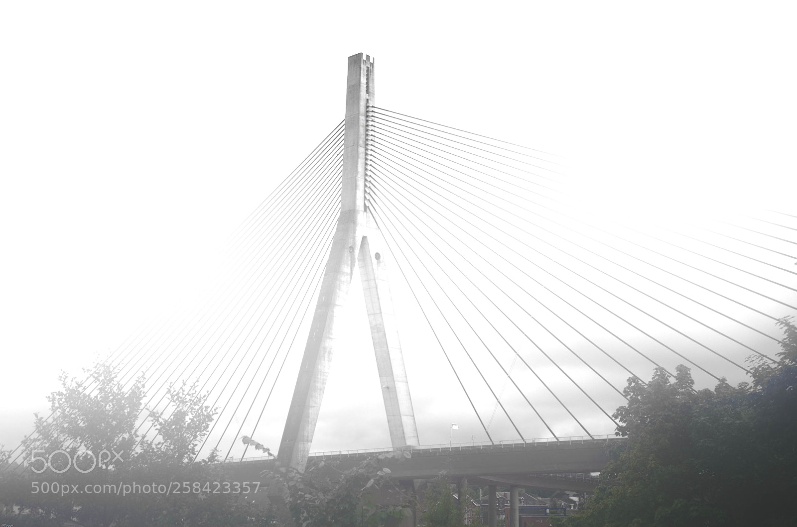 Pentax K-50 sample photo. Illuminati bridge photography