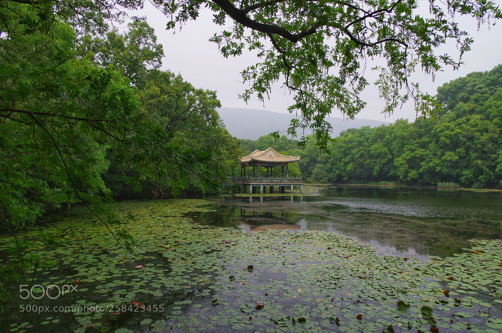 Pentax K-3 II sample photo. Untitled photography