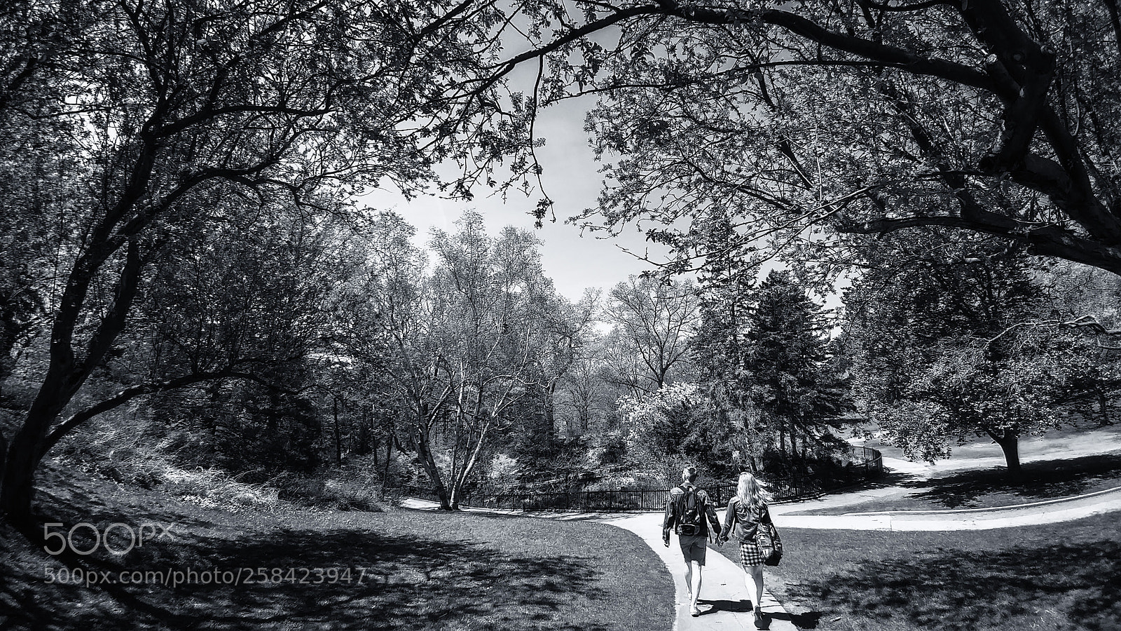 LG G5 sample photo. High park photography