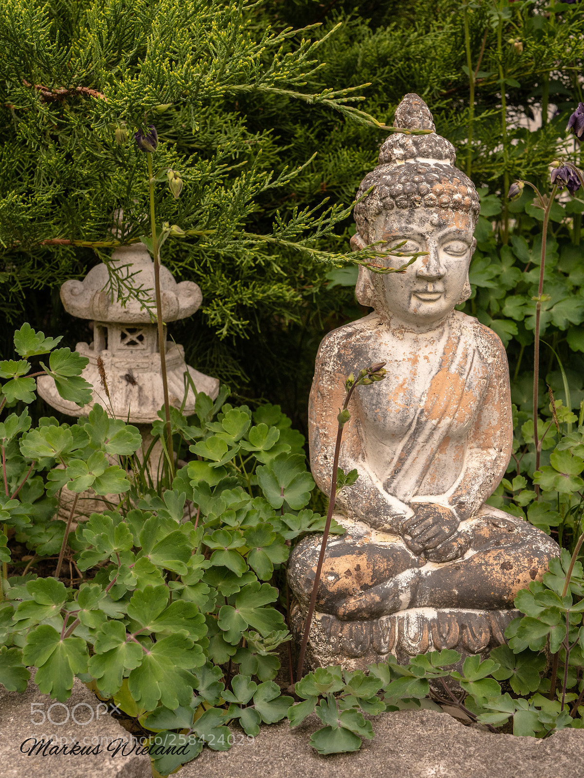 Panasonic Lumix DC-G9 sample photo. Buddha im garten photography