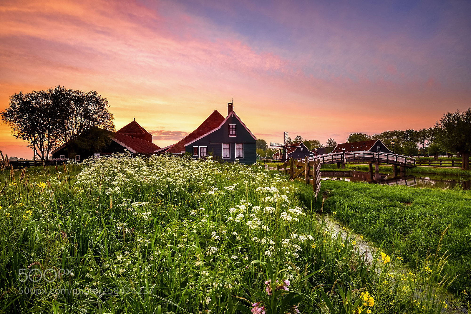 Nikon D7200 sample photo. Cheese farm zaanse schans photography
