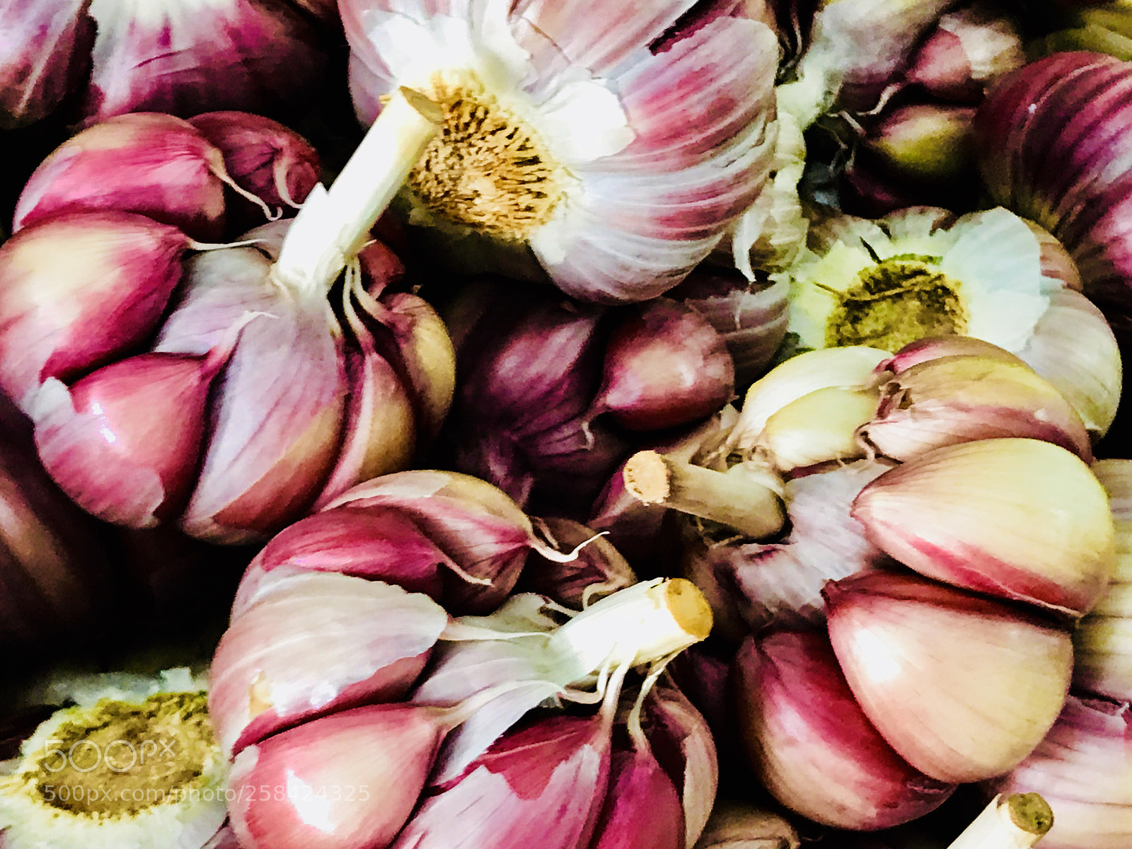 Apple iPhone 7 Plus sample photo. Garlic photography