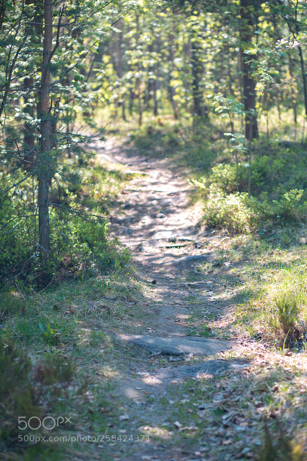 Canon EOS 6D sample photo. May walk photography