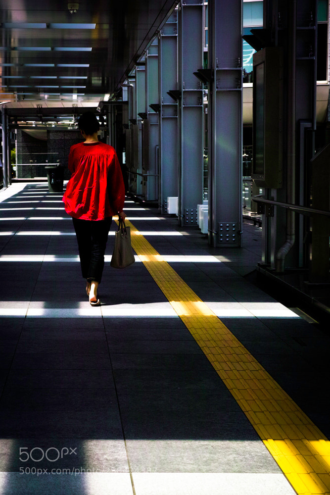 Sigma DP3 Merrill sample photo. Red photography