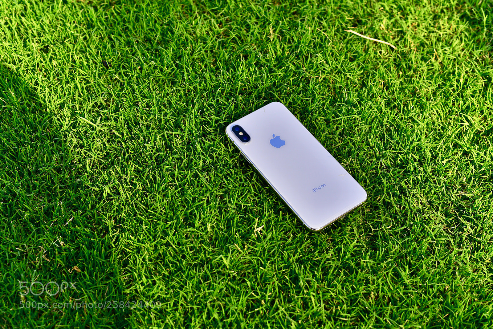 Nikon D750 sample photo. Iphone photography