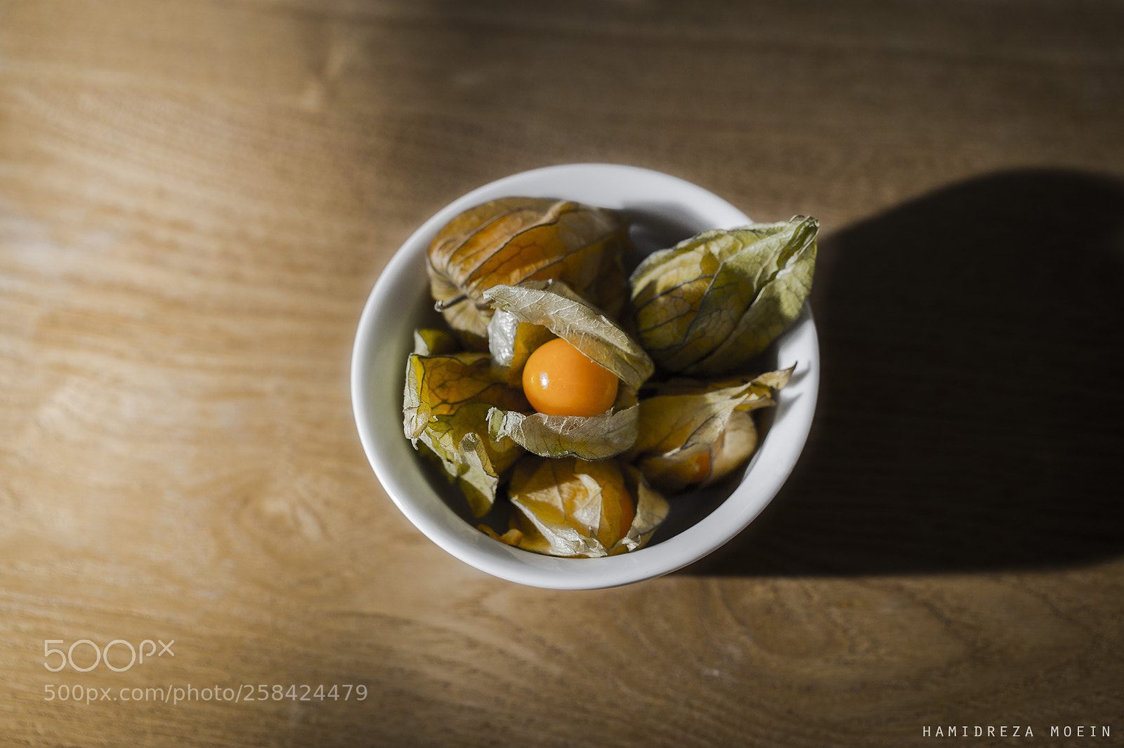 Canon EOS 6D sample photo. Physalis! photography