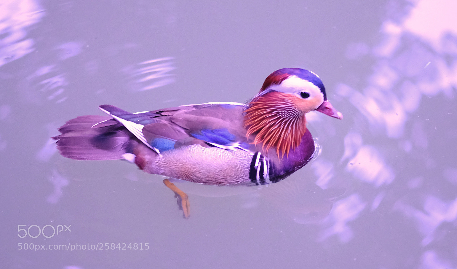Fujifilm X-E3 sample photo. Colorful nature photography